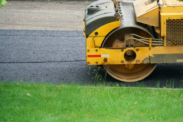 Best Paver Driveway Replacement  in Williamsport, IN